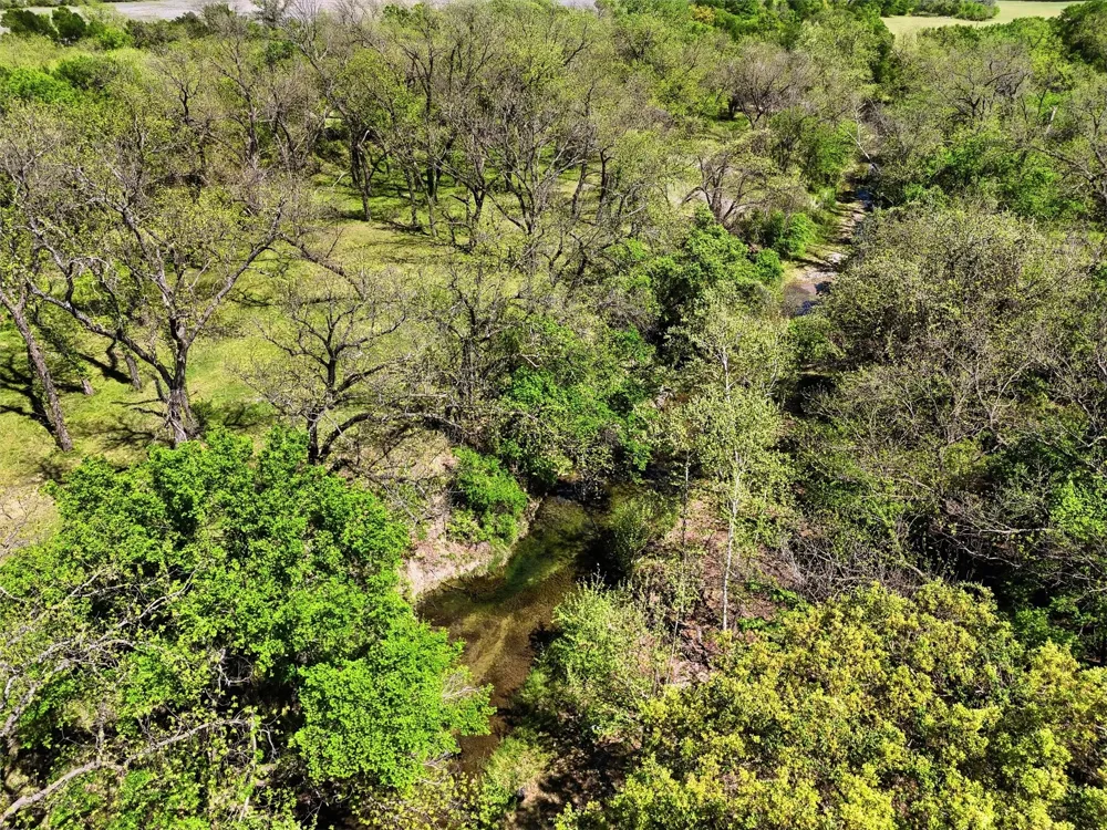 12011 Paradise Boulevard Bluff Dale, TX 76433