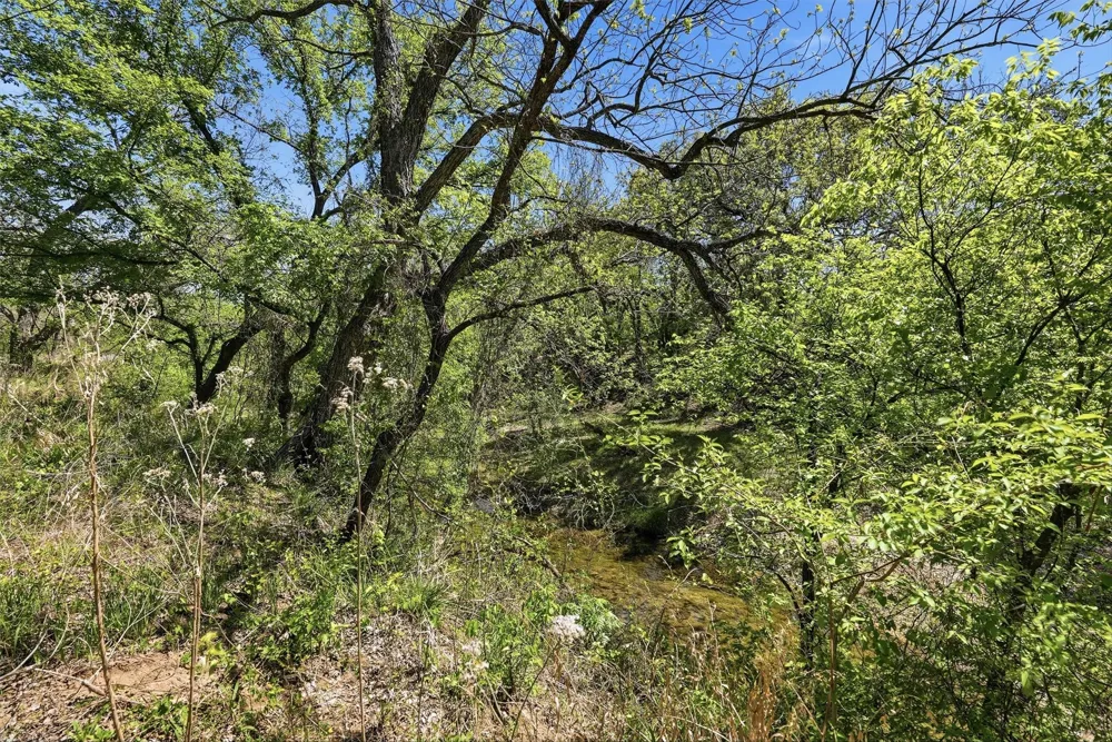 12011 Paradise Boulevard Bluff Dale, TX 76433