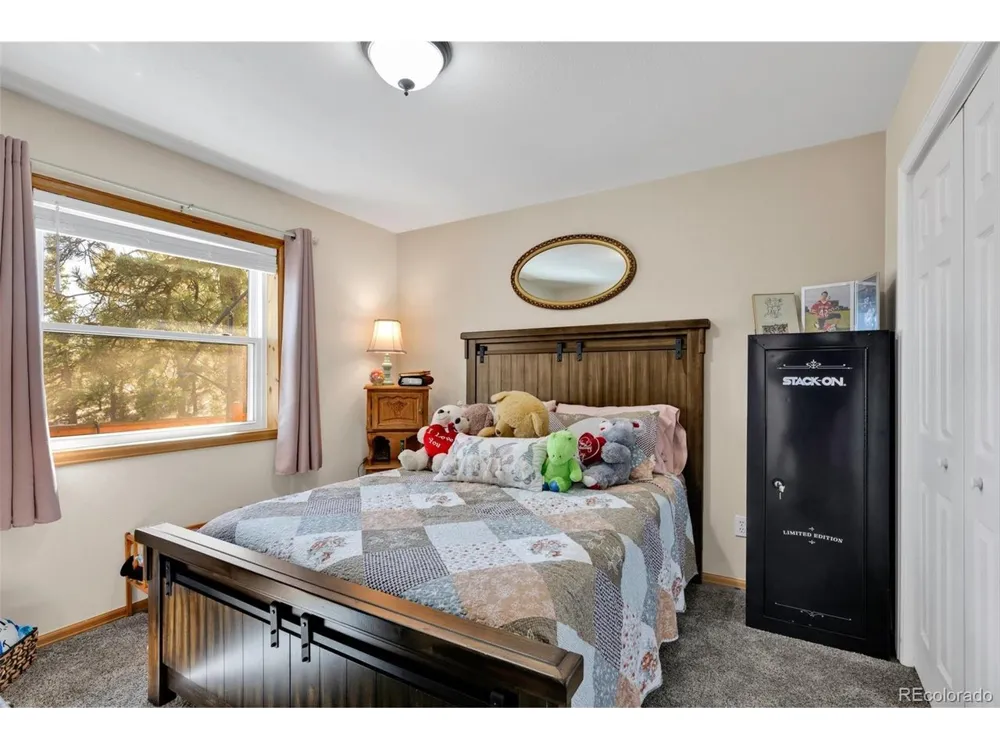 50 Shawnee Trail Westcliffe, CO 81252