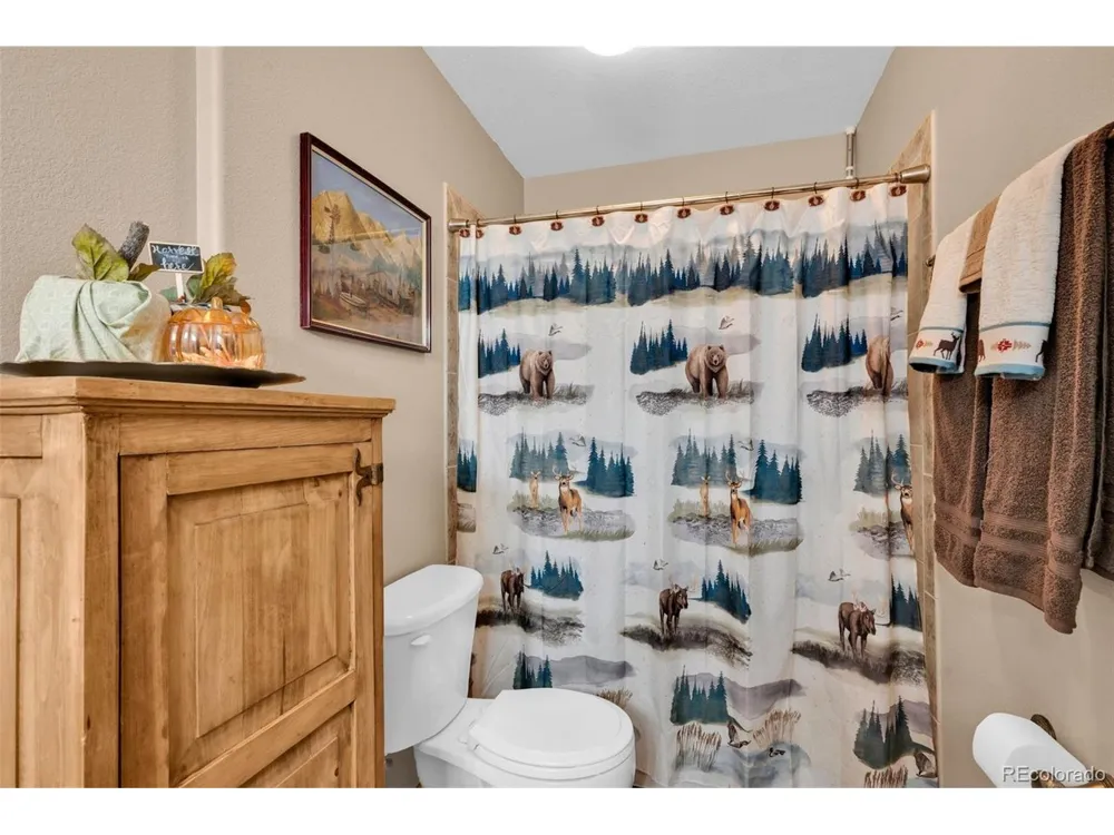 50 Shawnee Trail Westcliffe, CO 81252