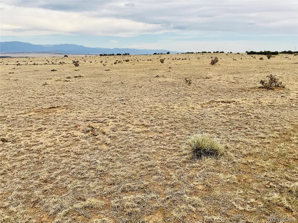 53 Turkey Ridge Ranch Walsenburg, CO 81089