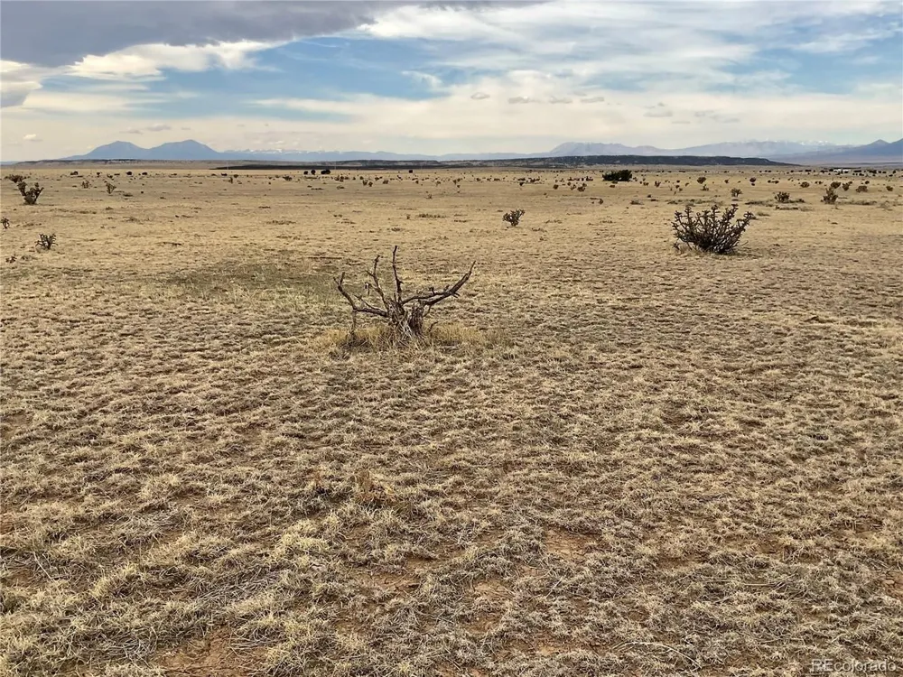 53 Turkey Ridge Ranch Walsenburg, CO 81089