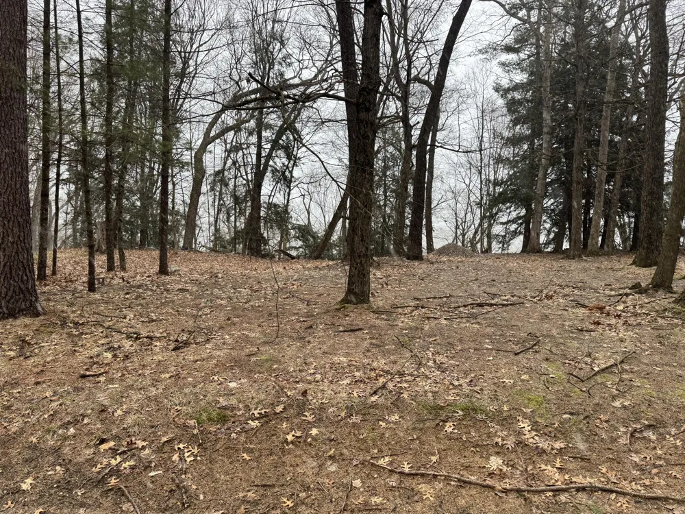 S Teal Lane Newaygo, MI 49337