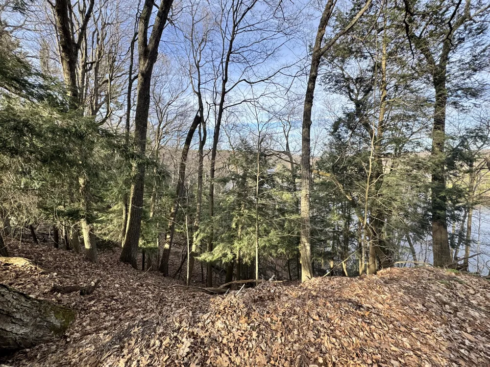 S Teal Lane Newaygo, MI 49337