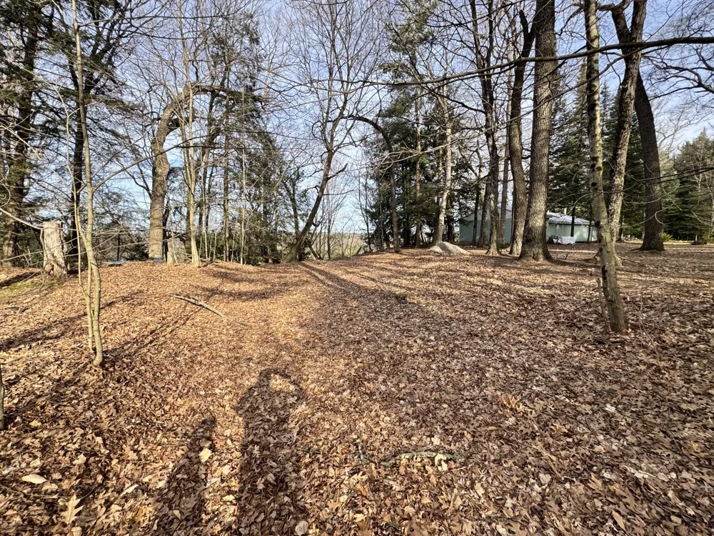 S Teal Lane Newaygo, MI 49337