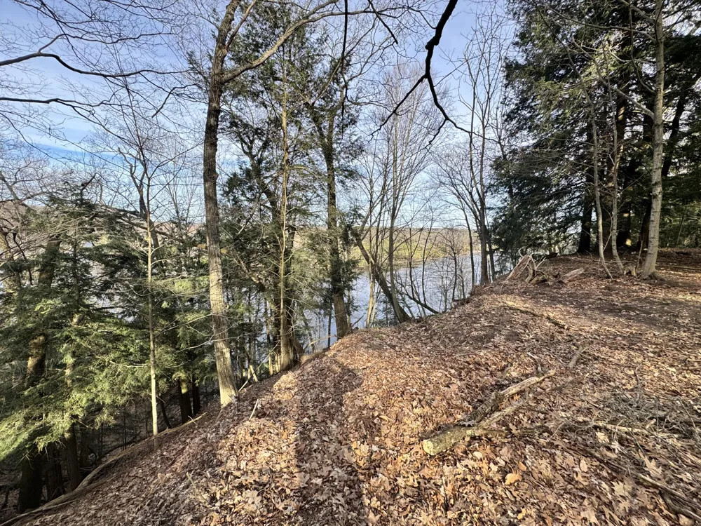 S Teal Lane Newaygo, MI 49337