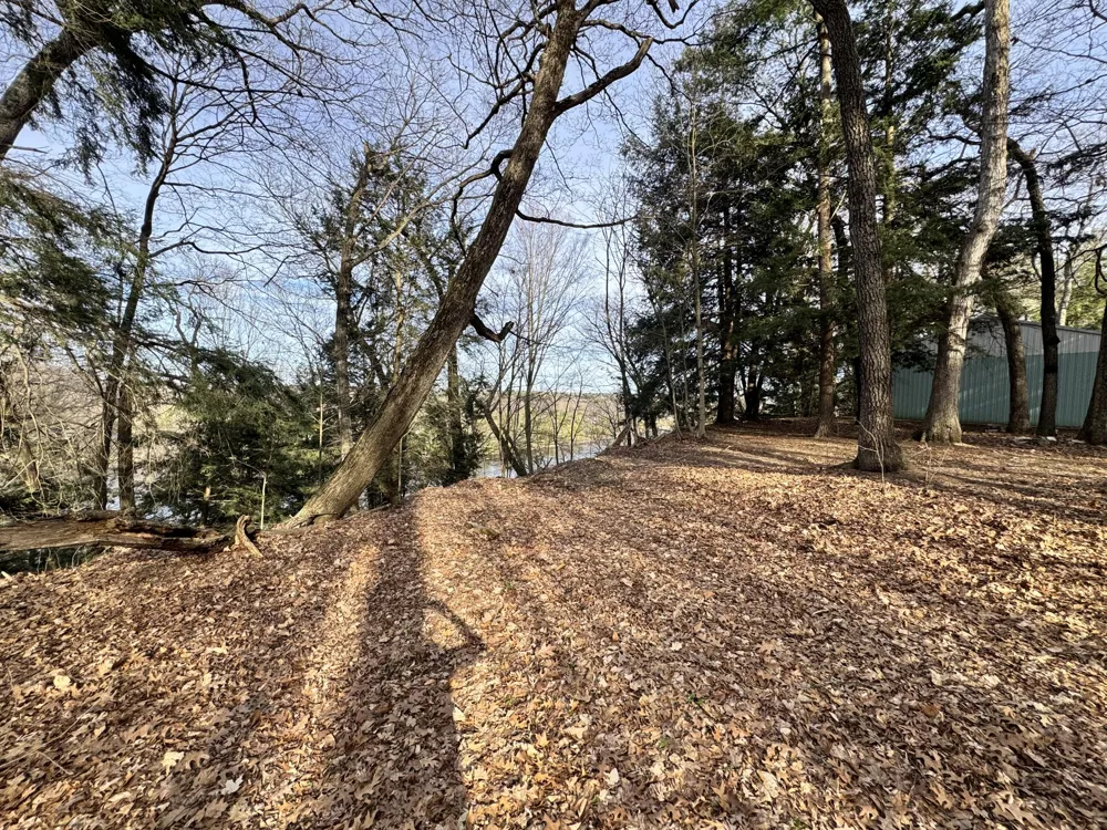 S Teal Lane Newaygo, MI 49337