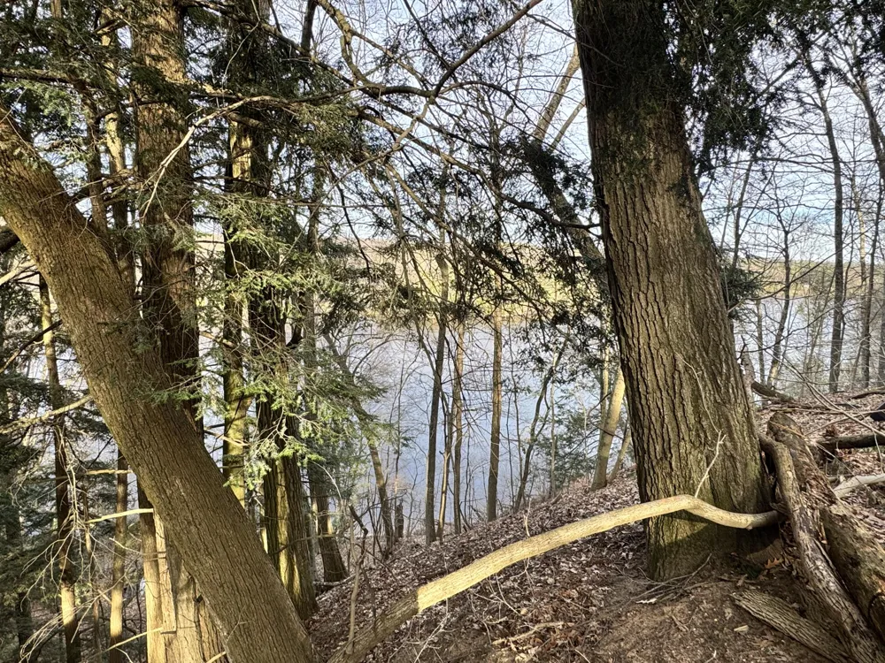 S Teal Lane Newaygo, MI 49337
