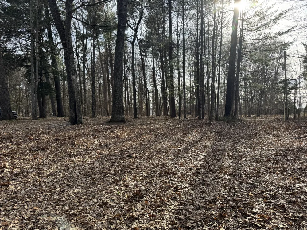 S Teal Lane Newaygo, MI 49337