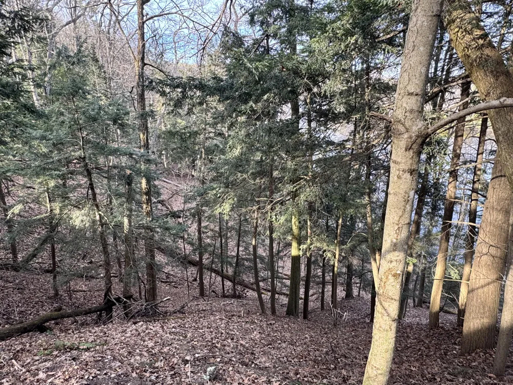S Teal Lane Newaygo, MI 49337