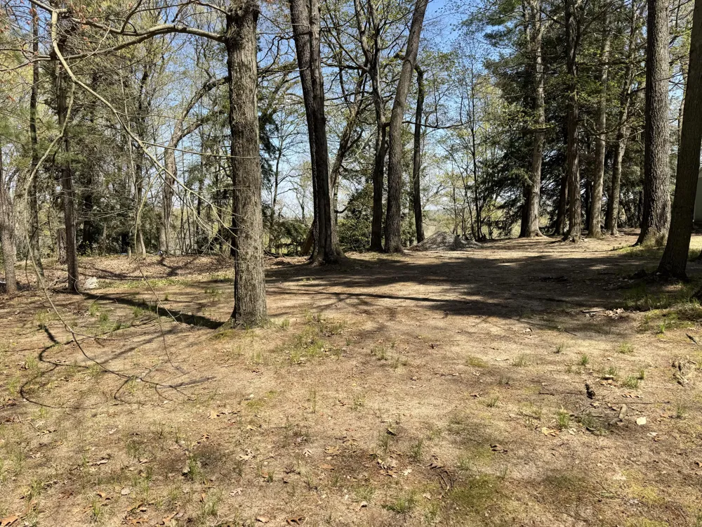 S Teal Lane Newaygo, MI 49337