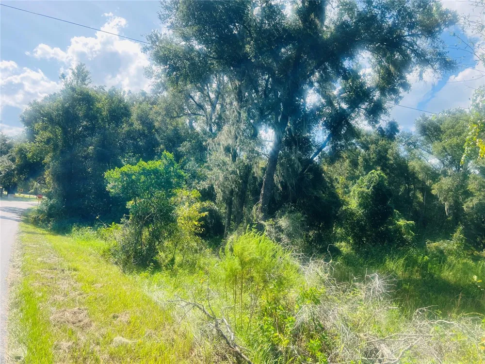 1215 ARREDONDO GRANT ROAD De Leon Springs, FL 32130