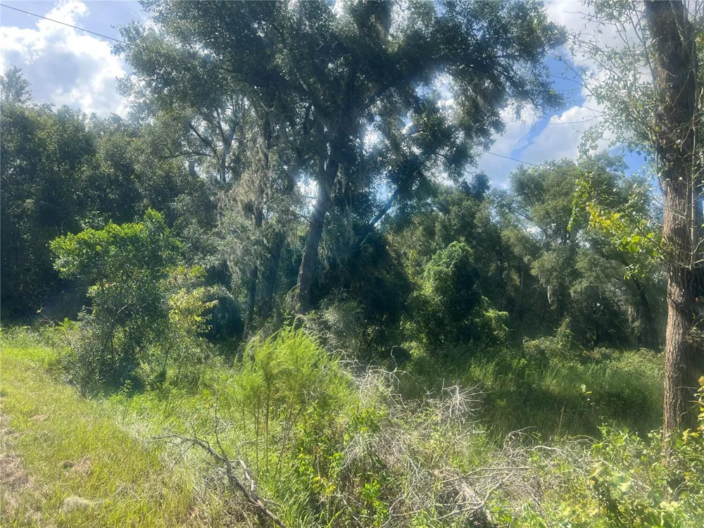 1215 ARREDONDO GRANT ROAD De Leon Springs, FL 32130