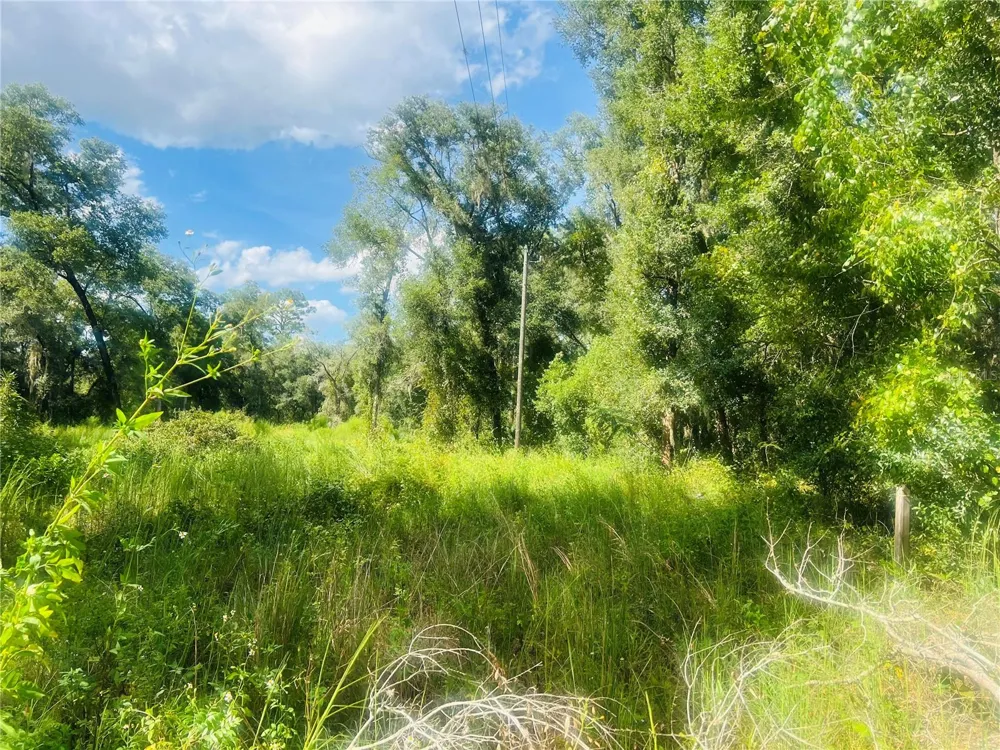 1215 ARREDONDO GRANT ROAD De Leon Springs, FL 32130