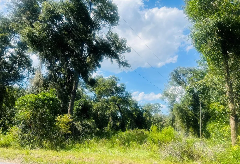 1215 ARREDONDO GRANT ROAD De Leon Springs, FL 32130