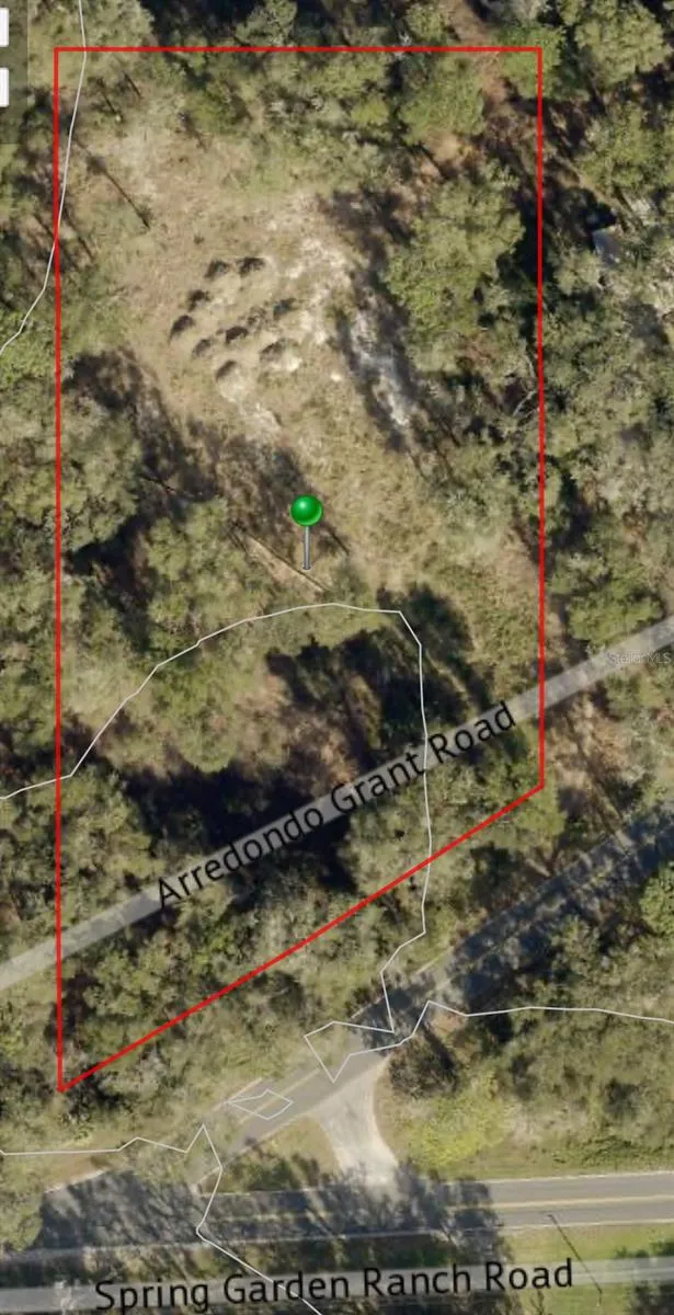 1215 ARREDONDO GRANT ROAD De Leon Springs, FL 32130