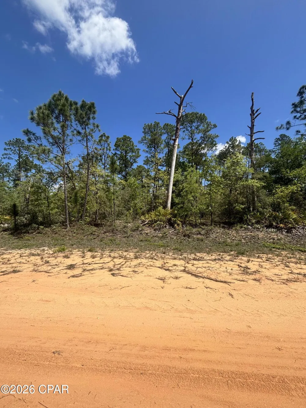 Fremont Avenue Alford, FL 32420