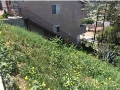1305 Luella Drive City Terrace, CA 90063