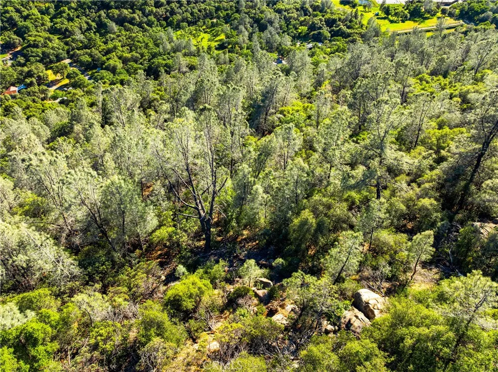Iron Mine Road Auburn, CA 95602
