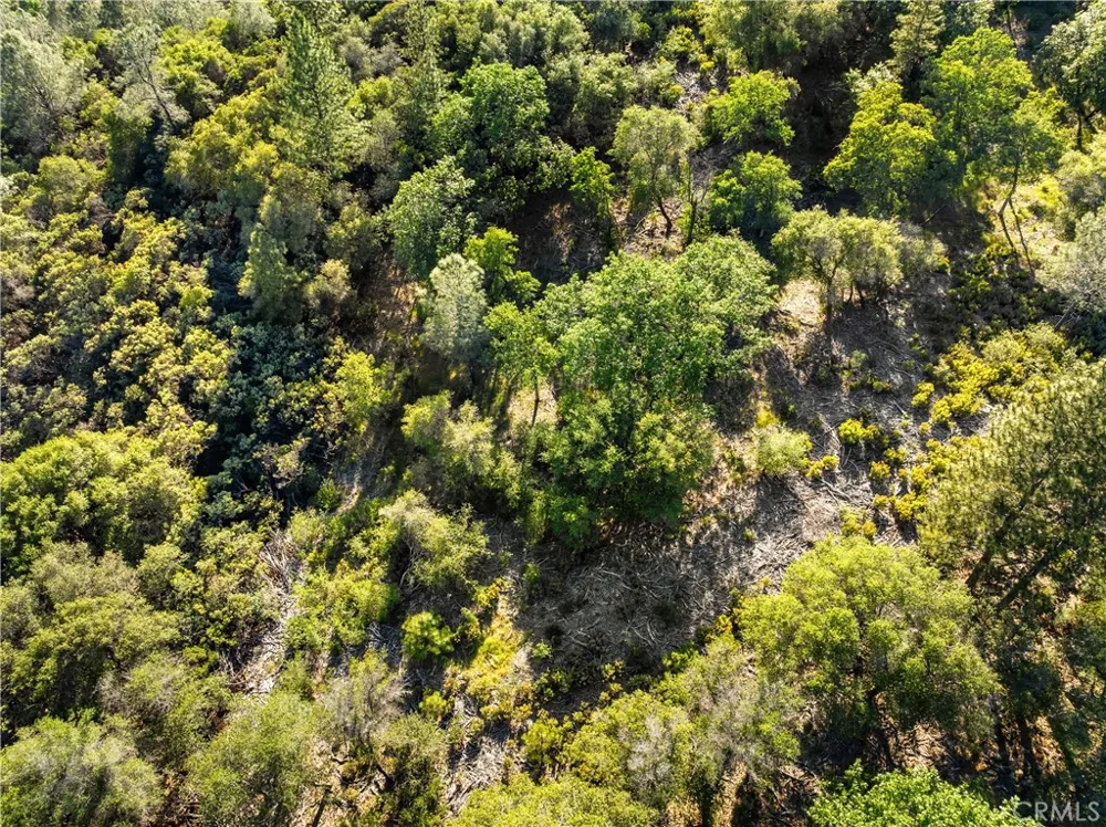 Iron Mine Road Auburn, CA 95602
