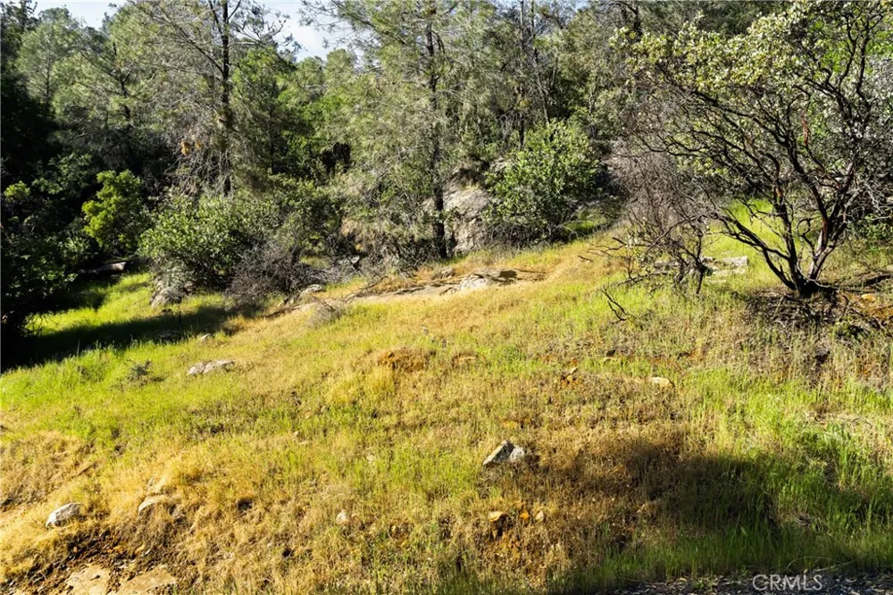 Iron Mine Road Auburn, CA 95602