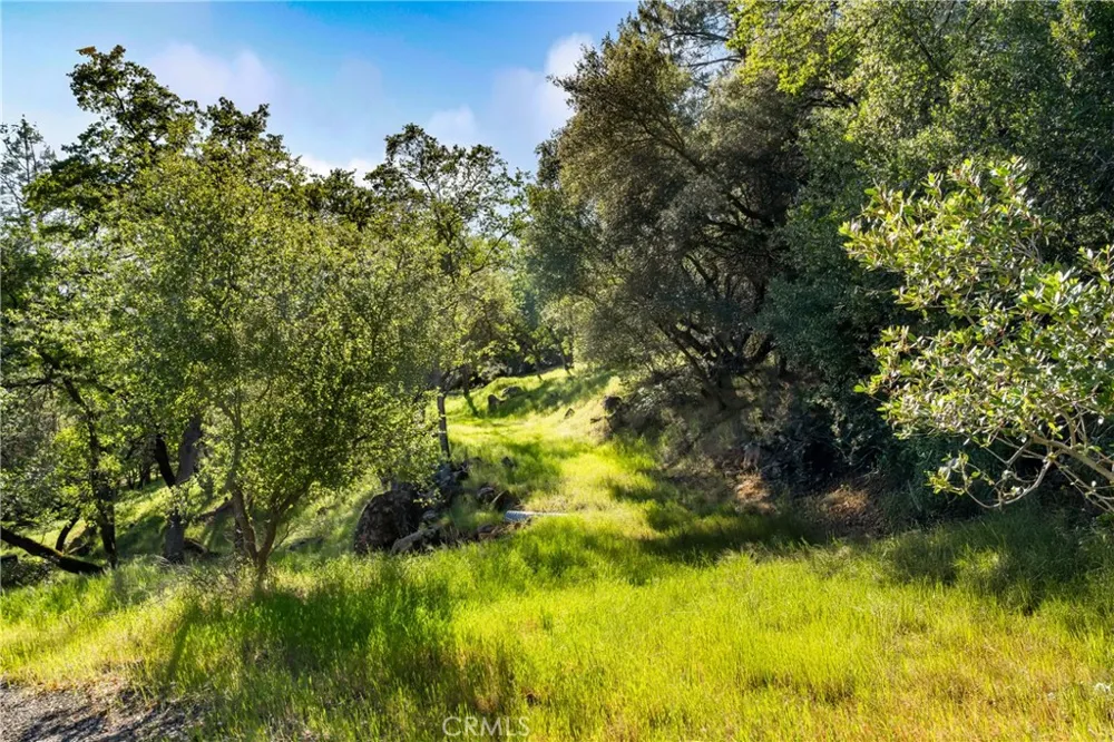 Iron Mine Road Auburn, CA 95602