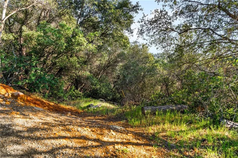 Iron Mine Road Auburn, CA 95602