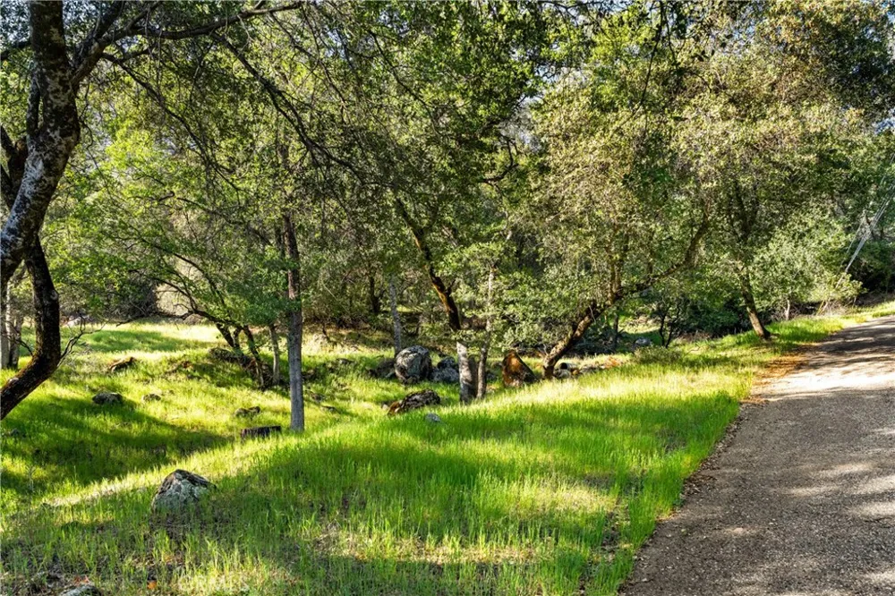 Iron Mine Road Auburn, CA 95602