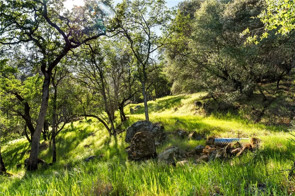 Iron Mine Road Auburn, CA 95602