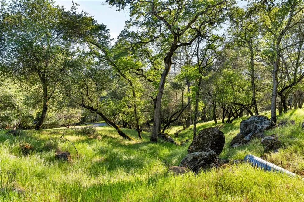 Iron Mine Road Auburn, CA 95602