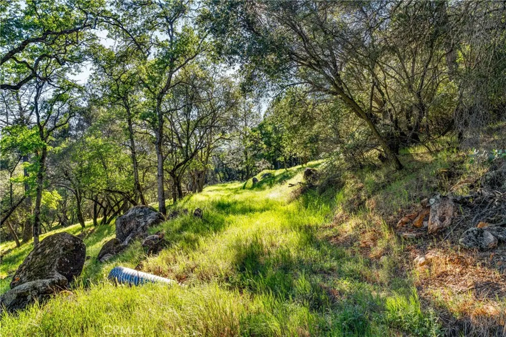 Iron Mine Road Auburn, CA 95602