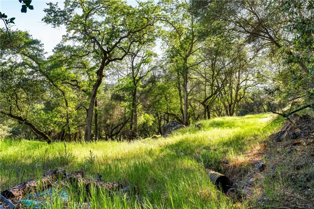 Iron Mine Road Auburn, CA 95602