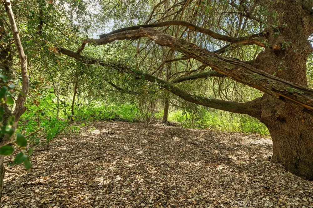 39804 Pine Bench Yucaipa, CA 92399