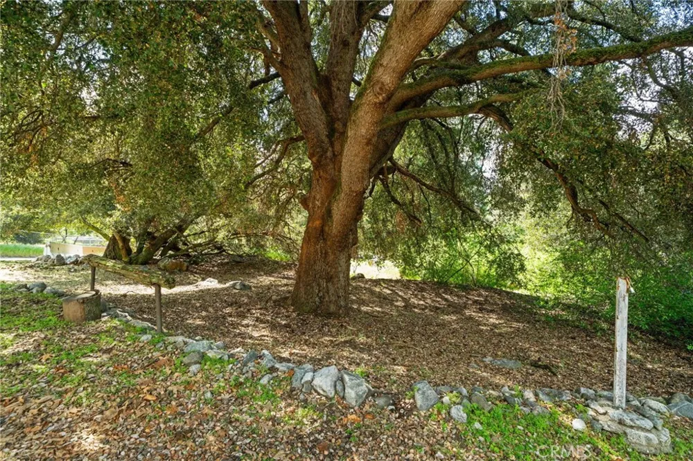 39804 Pine Bench Yucaipa, CA 92399