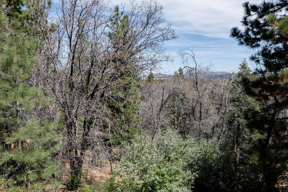 1530 Tuolumne Road Big Bear City, CA 92314