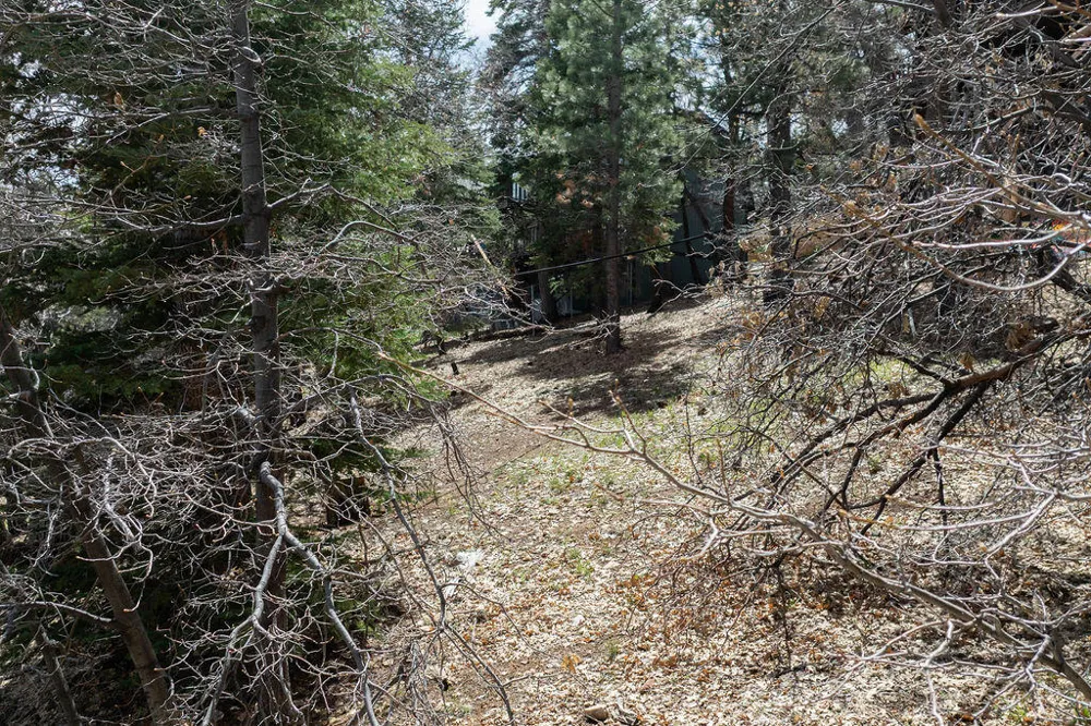 1530 Tuolumne Road Big Bear City, CA 92314