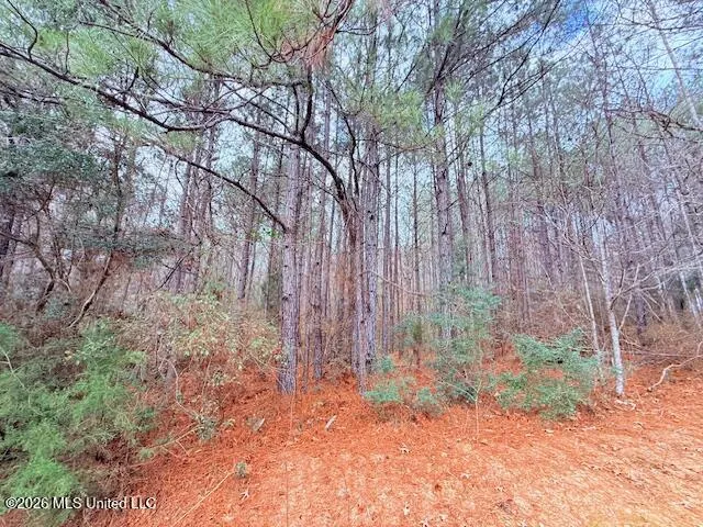 Busy Corner Road Gloster, MS 39638