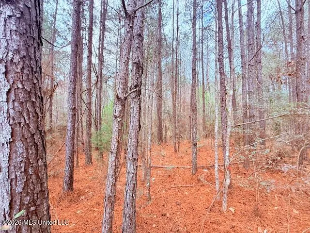 Busy Corner Road Gloster, MS 39638