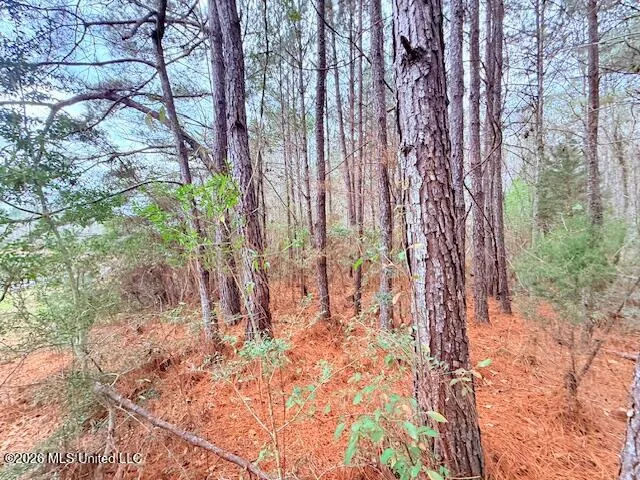 Busy Corner Road Gloster, MS 39638