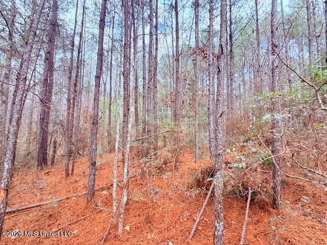 Busy Corner Road Gloster, MS 39638
