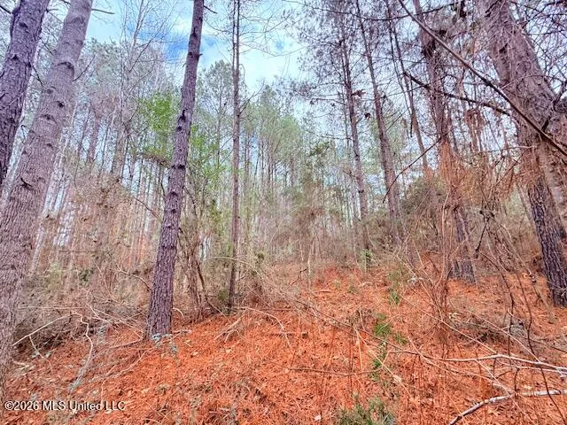 Busy Corner Road Gloster, MS 39638