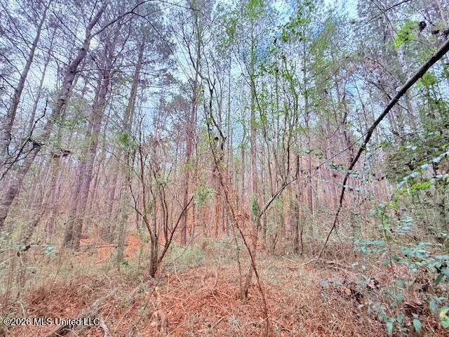 Busy Corner Road Gloster, MS 39638