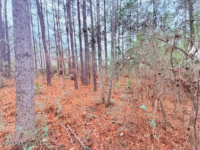 Busy Corner Road Gloster, MS 39638