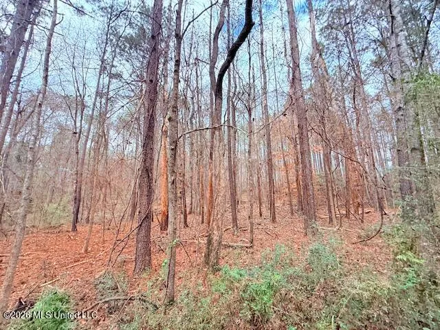 Busy Corner Road Gloster, MS 39638
