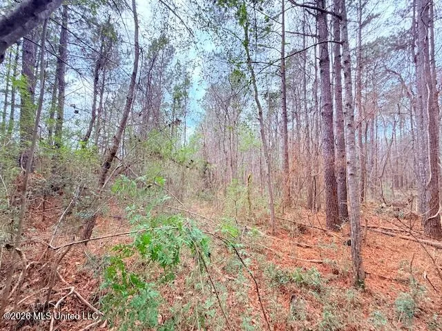 Busy Corner Road Gloster, MS 39638