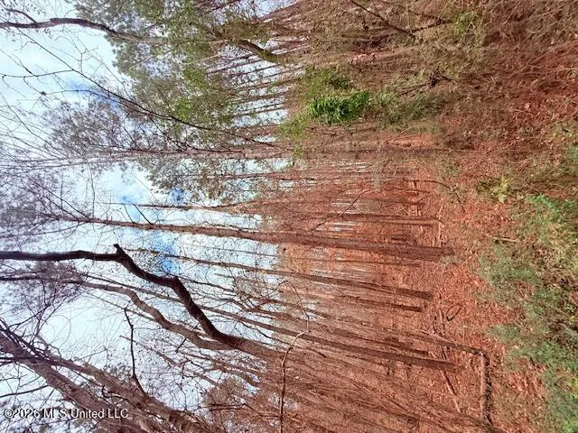 Busy Corner Road Gloster, MS 39638