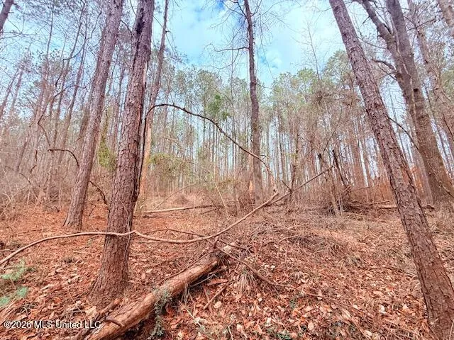 Busy Corner Road Gloster, MS 39638