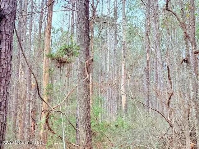 Busy Corner Road Gloster, MS 39638