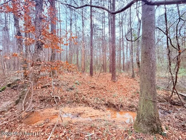 Busy Corner Road Gloster, MS 39638