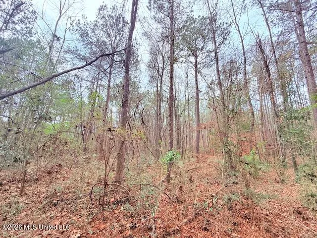 Busy Corner Road Gloster, MS 39638